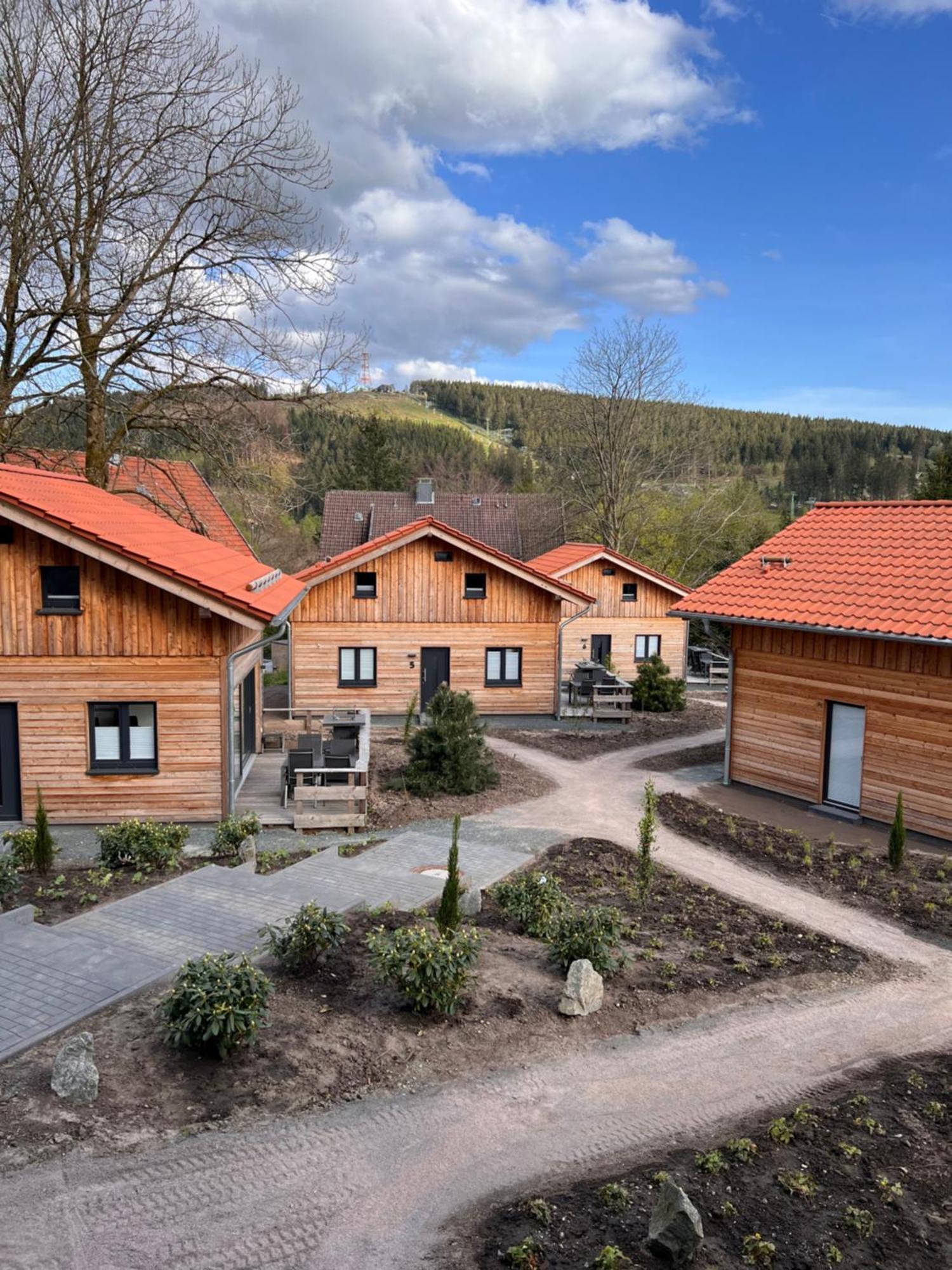 Cecilienpark Oberharz Villa Goslar Exterior photo
